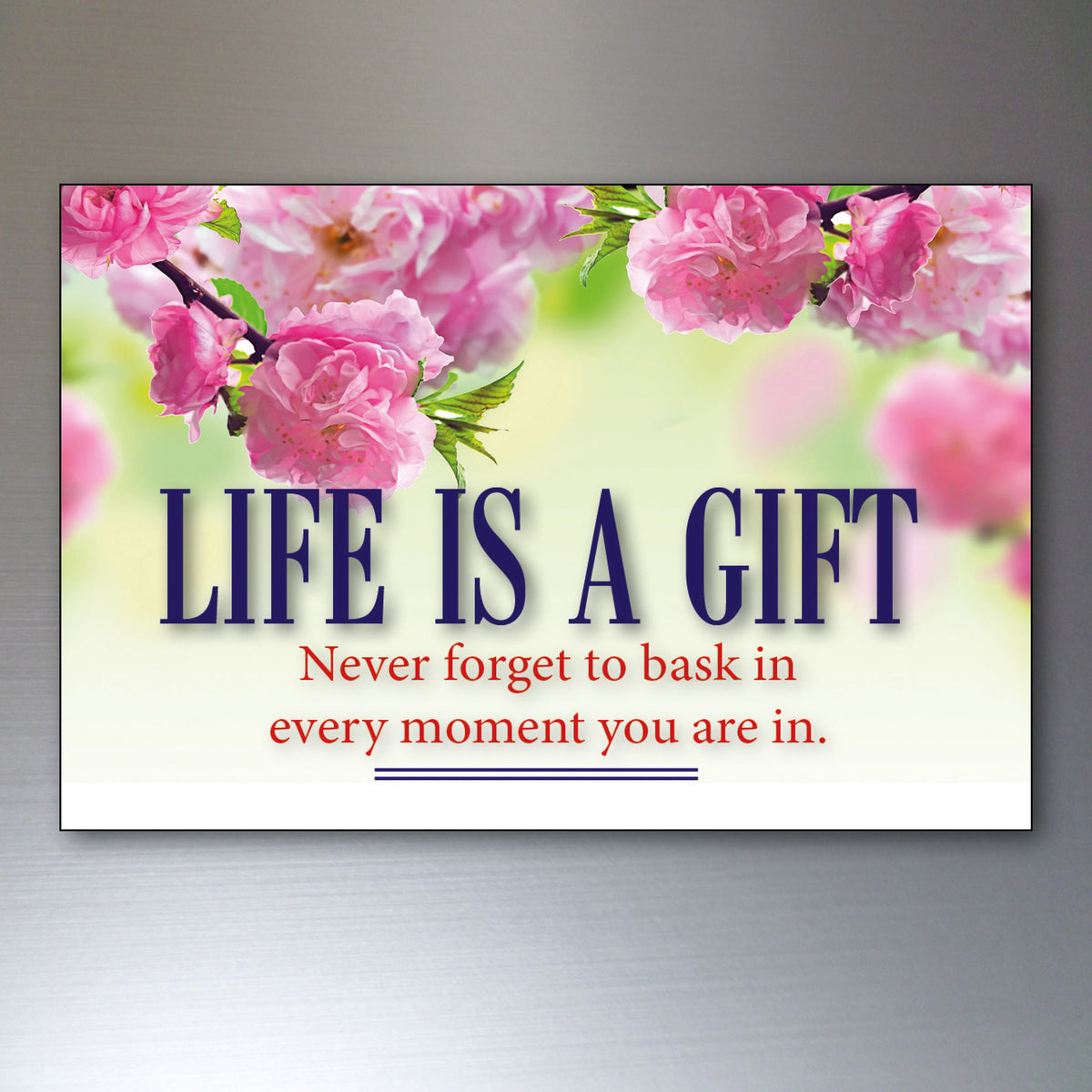 Vintage Inspirational Quote Fridge Magnets Set of 8 | Motivational Gift | No.3
