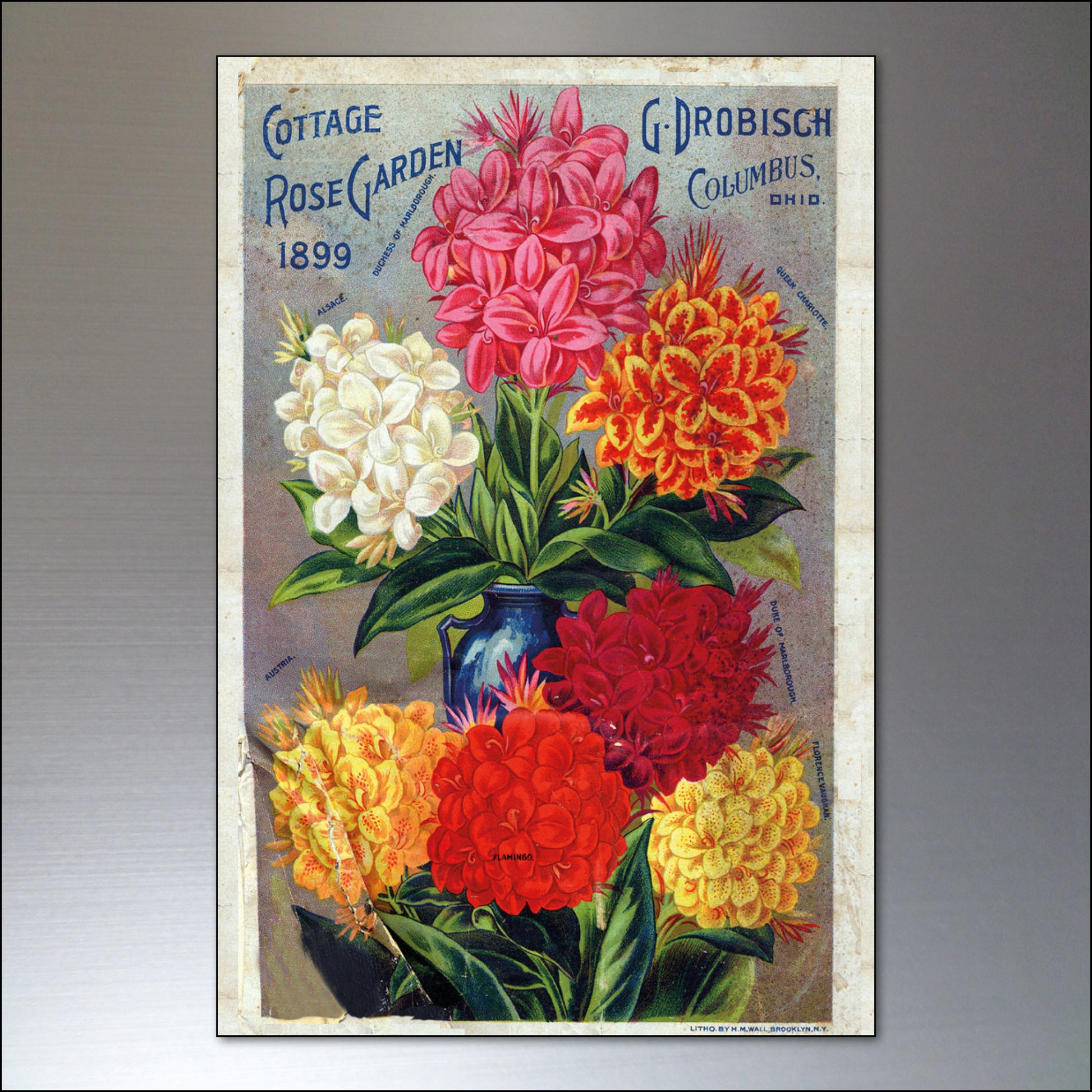 Set of 8 vintage botanical seed packet fridge magnets by Bubbadoodoo featuring detailed floral and plant illustrations.