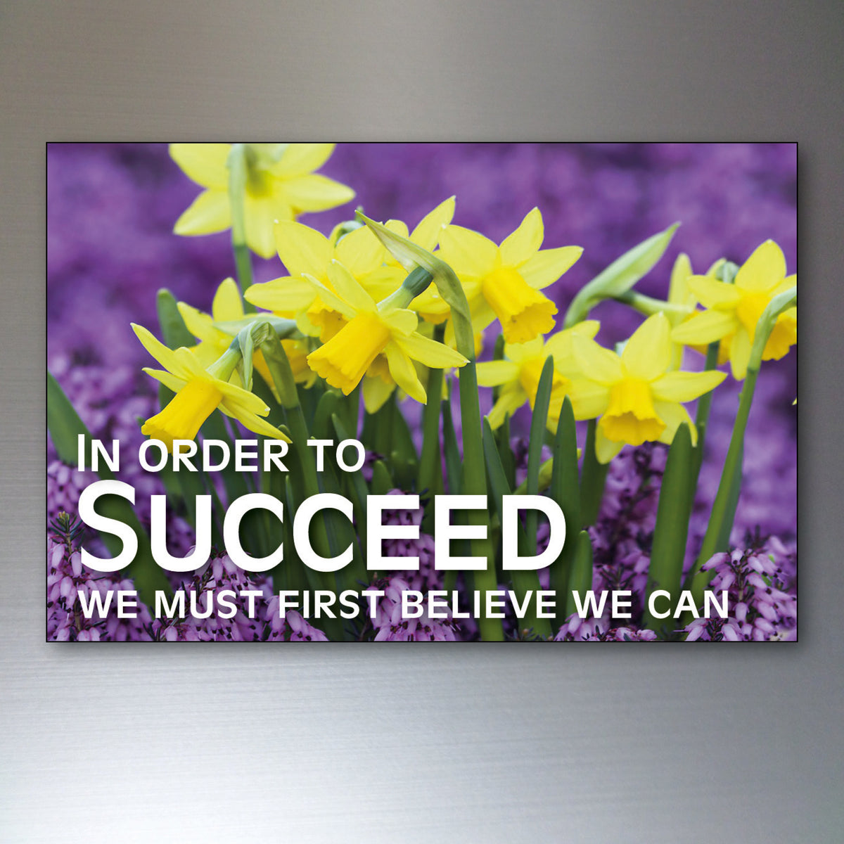 Vintage Inspirational Quote Fridge Magnets Set of 8 | Motivational Gift | No.3