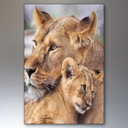 Lion in the Wild | Photo Fridge Magnets | Set of 8
