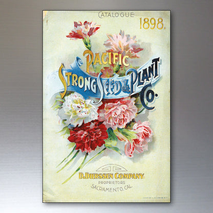 Vintage Botanical Seed Packet Fridge Magnets | Set of 8 | No.2