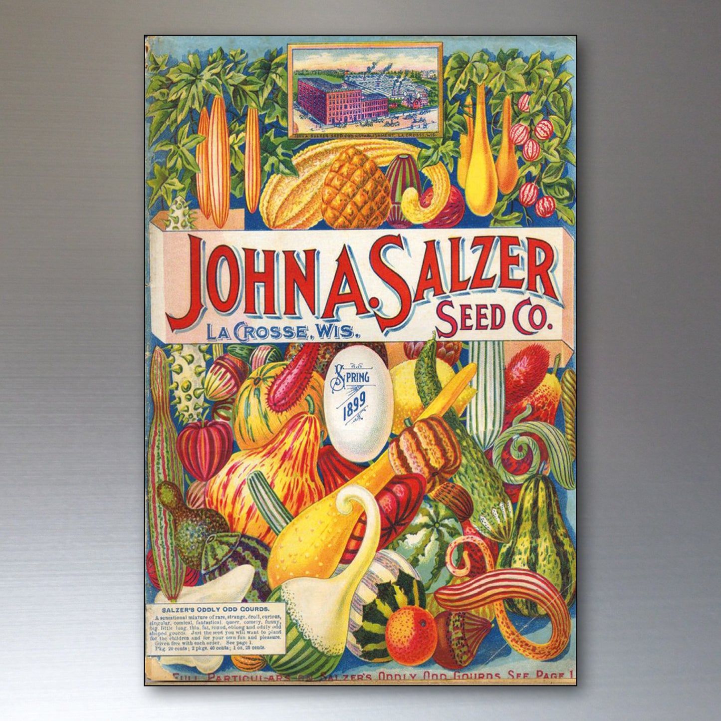 Vintage Botanical Seed Packet Fridge Magnets | Set of 8 | No.2