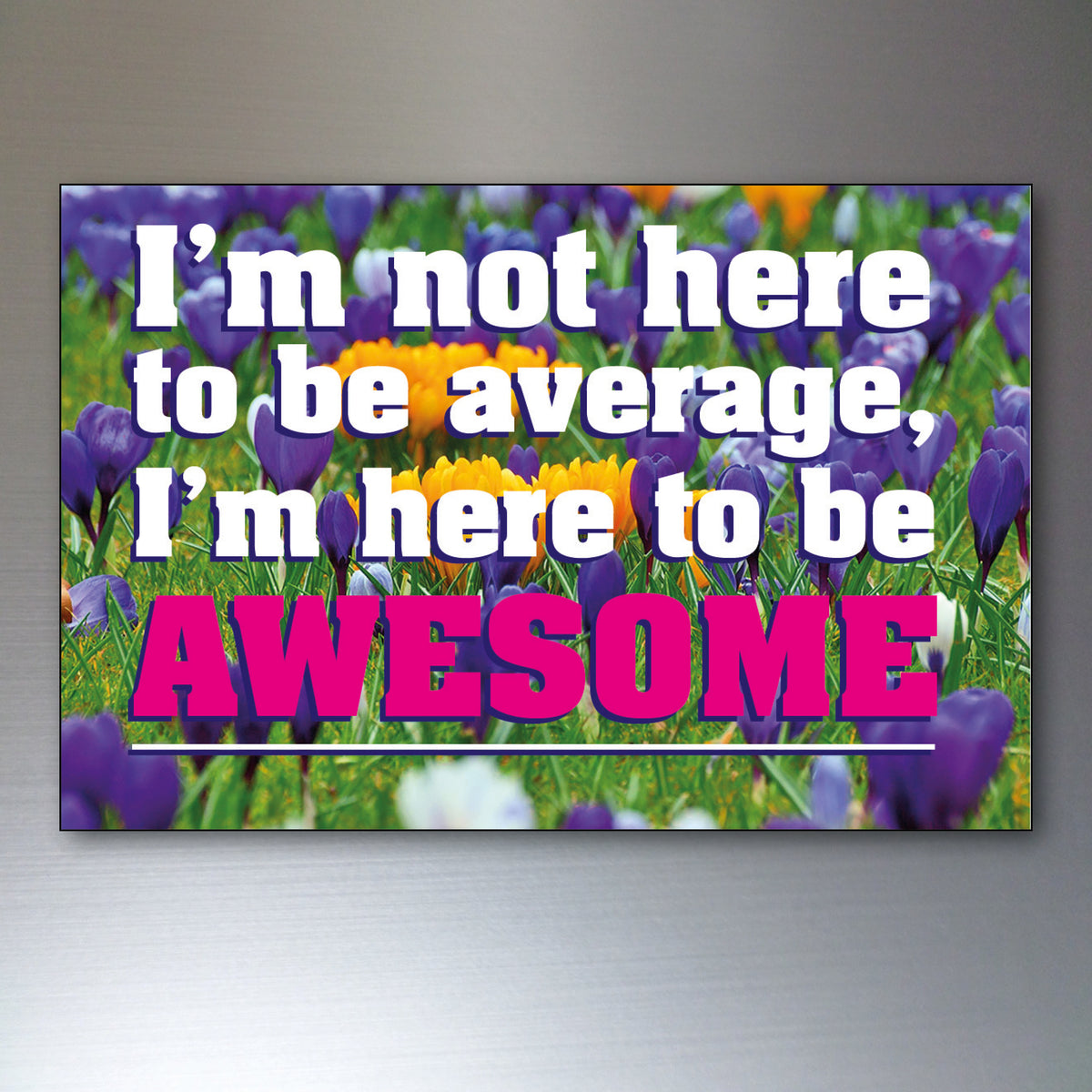 Vintage Inspirational Quote Fridge Magnets Set of 8 | Motivational Gift | No.3