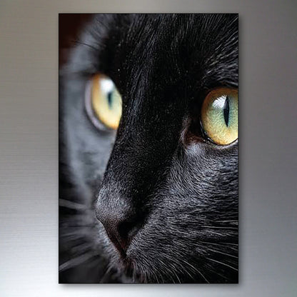 Cute Cat Fridge Magnets | Set of 8 | No.1