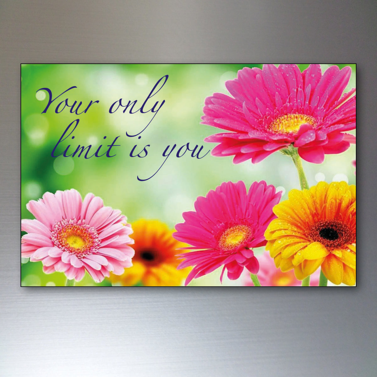 Vintage Inspirational Quote Fridge Magnets Set of 8 | Motivational Gift | No.3