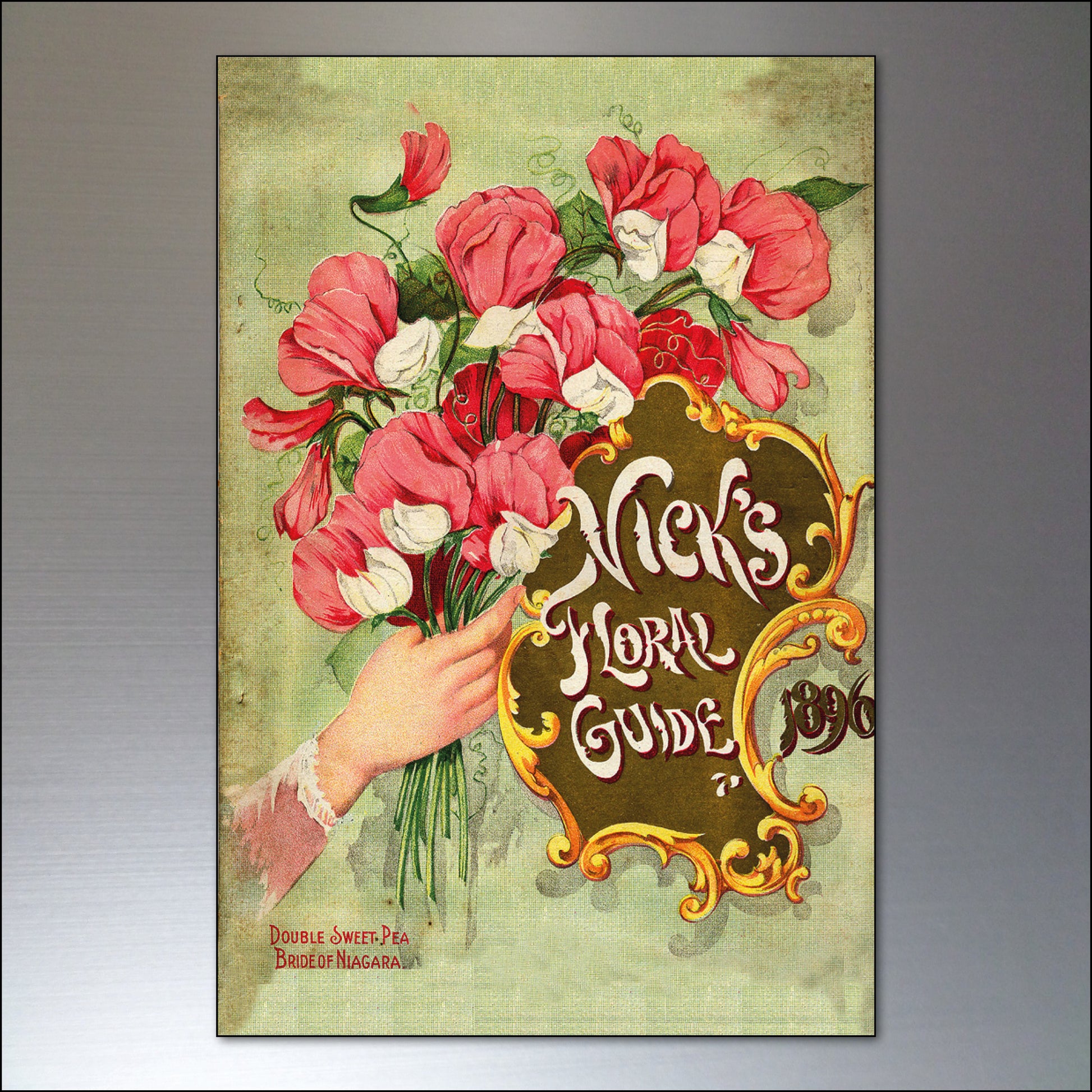 Set of 8 vintage botanical seed packet fridge magnets, featuring detailed floral illustrations, by Bubbadoodoo.