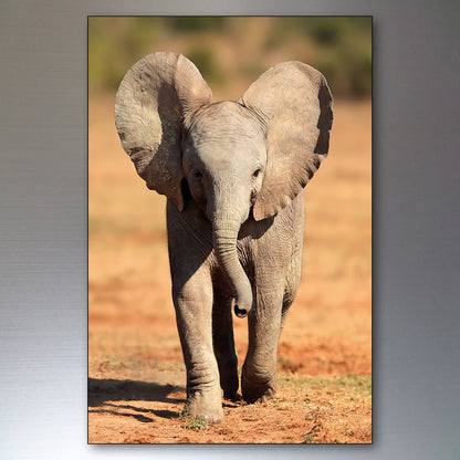 A vertical photographic print or canvas featuring an African elephant walking forward with its large ears flared, set against a blurred natural background. The print is displayed against a dark gray gradient backdrop.