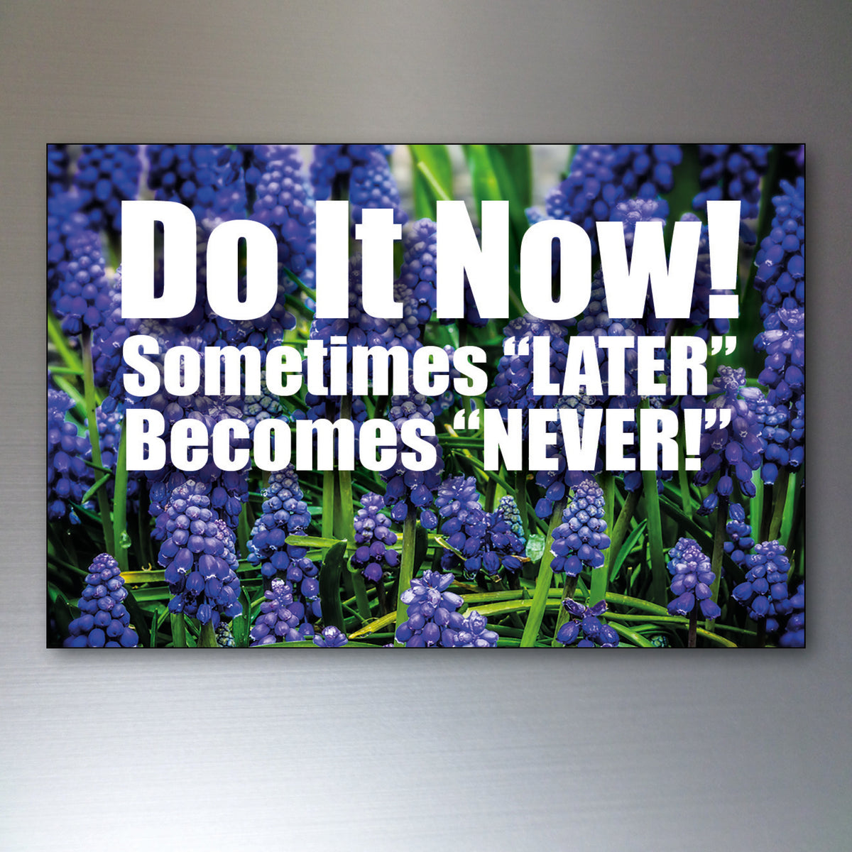 Vintage Inspirational Quote Fridge Magnets Set of 8 | Motivational Gift | No.3