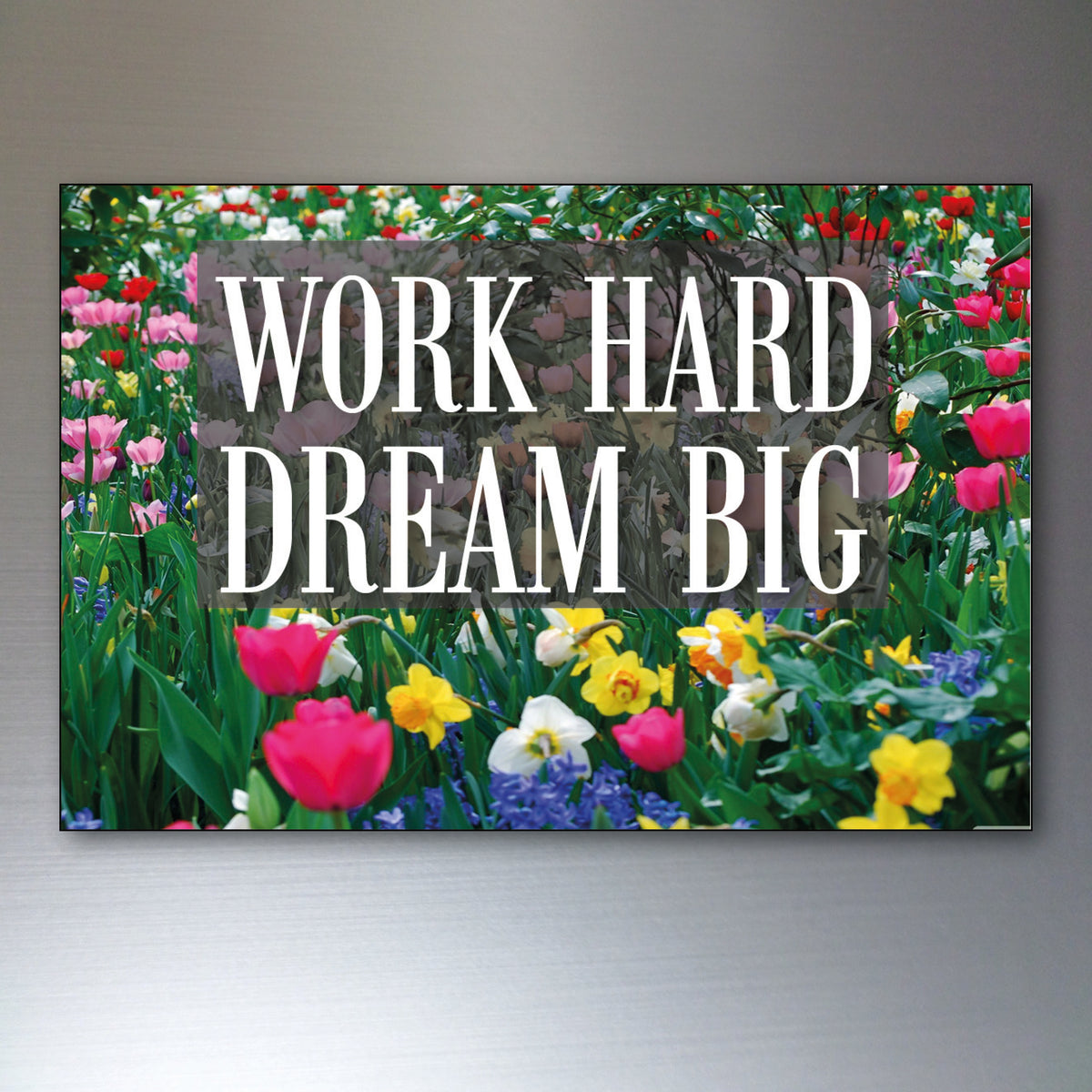 Vintage Inspirational Quote Fridge Magnets Set of 8 | Motivational Gift | No.3