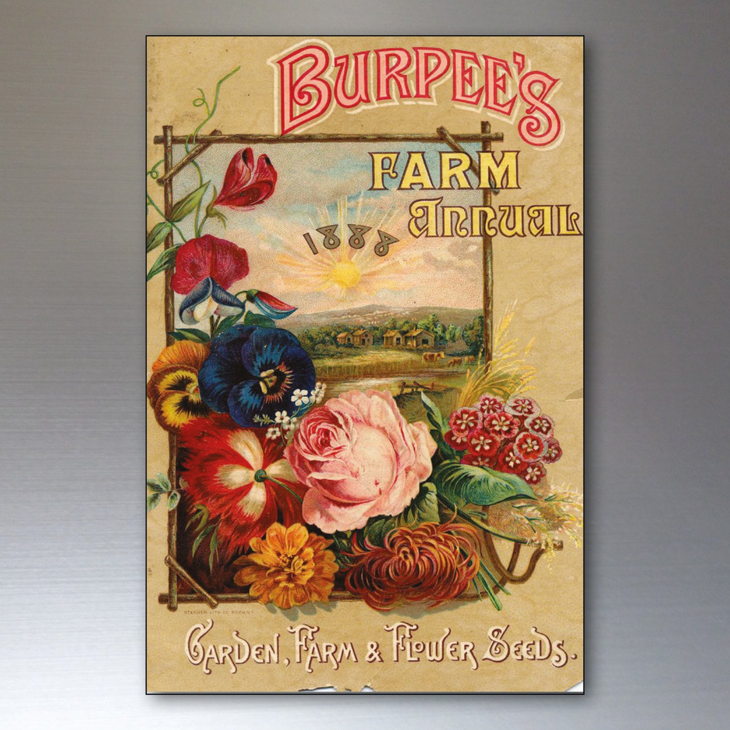 Vintage Botanical Seed Packet Fridge Magnets | Set of 8 | No.2