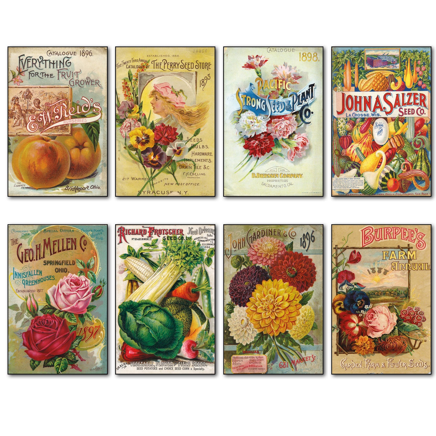 Vintage Botanical Seed Packet Fridge Magnets | Set of 8 | No.2