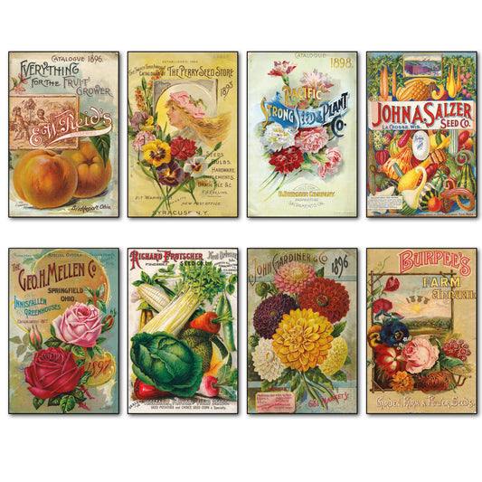 Vintage Botanical Seed Packet Fridge Magnets | Set of 8 | No.2
