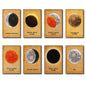 Vintage Moon Phases & Lunar Eclipse Illustrations | Fridge Magnets Set of 8