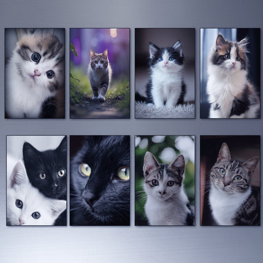 A set of eight framed vertical fridge magnets showing different cat portraits, arranged in two rows on a light gray wall.