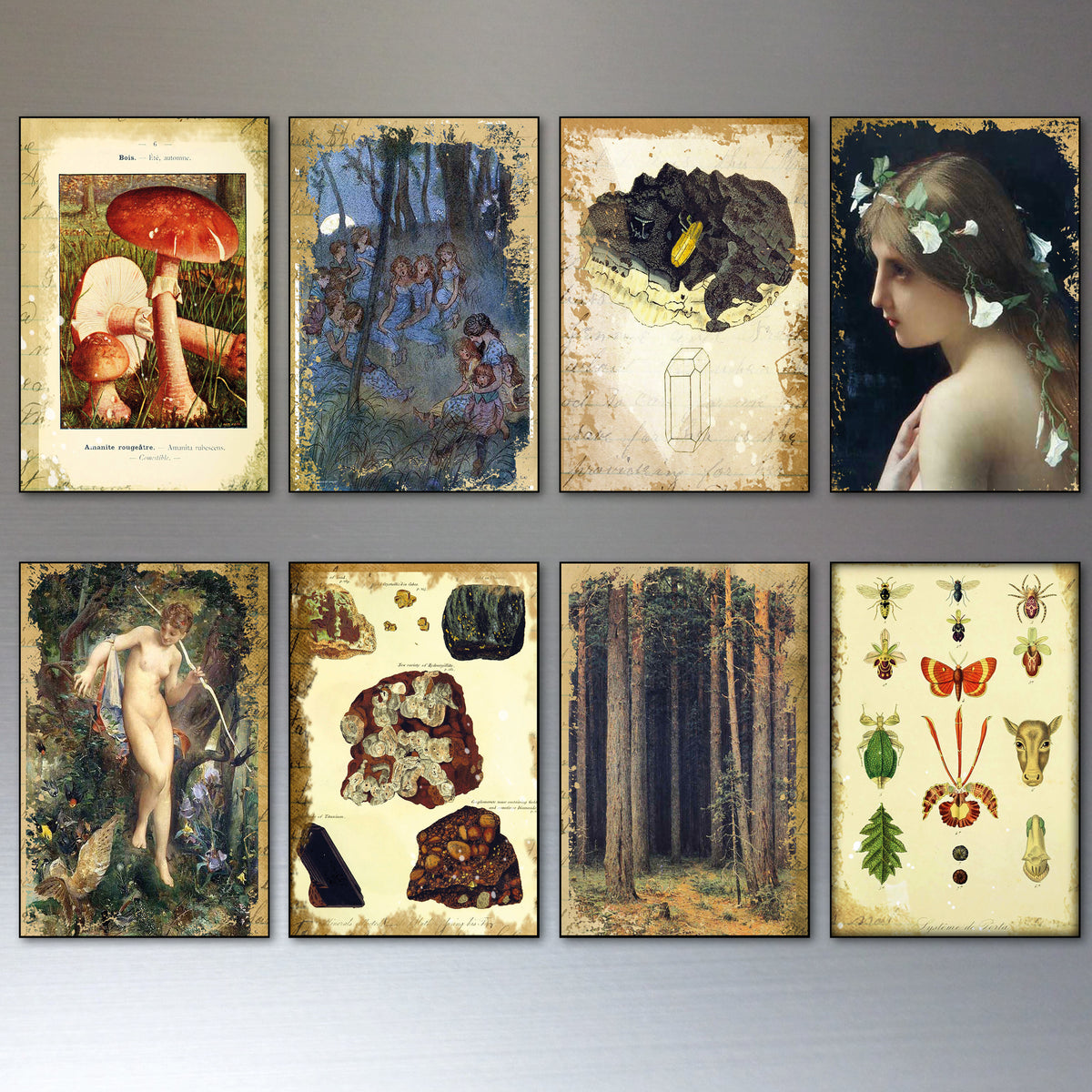 Eight framed vintage-style art prints arranged in a 2x4 grid on a light gray wall. The prints feature whimsical illustrations including mushrooms, forest scenes, a bird, a woman's profile, rocks, trees, and insect and animal motifs.