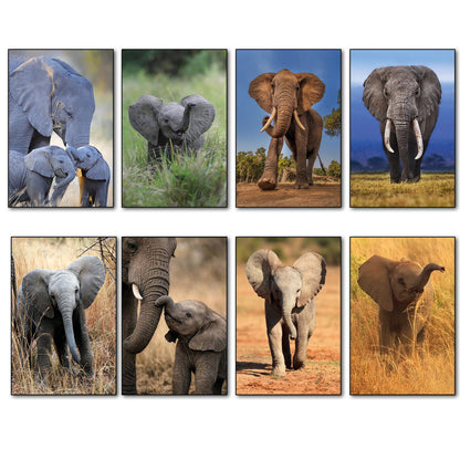 A set of eight vertical photographic prints featuring different safari scenes with African elephants, including adults, babies, and elephants in grassy landscapes, arranged in a 2x4 grid on a white background.