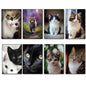 Cute Cat Fridge Magnets | Set of 8 | No.1