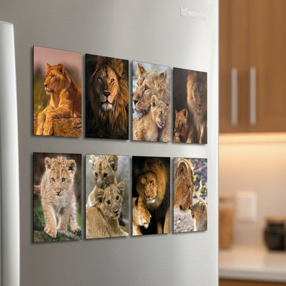 A set of eight vertical wall art panels featuring different lion family photographs, arranged in a 2x4 grid on a white background.