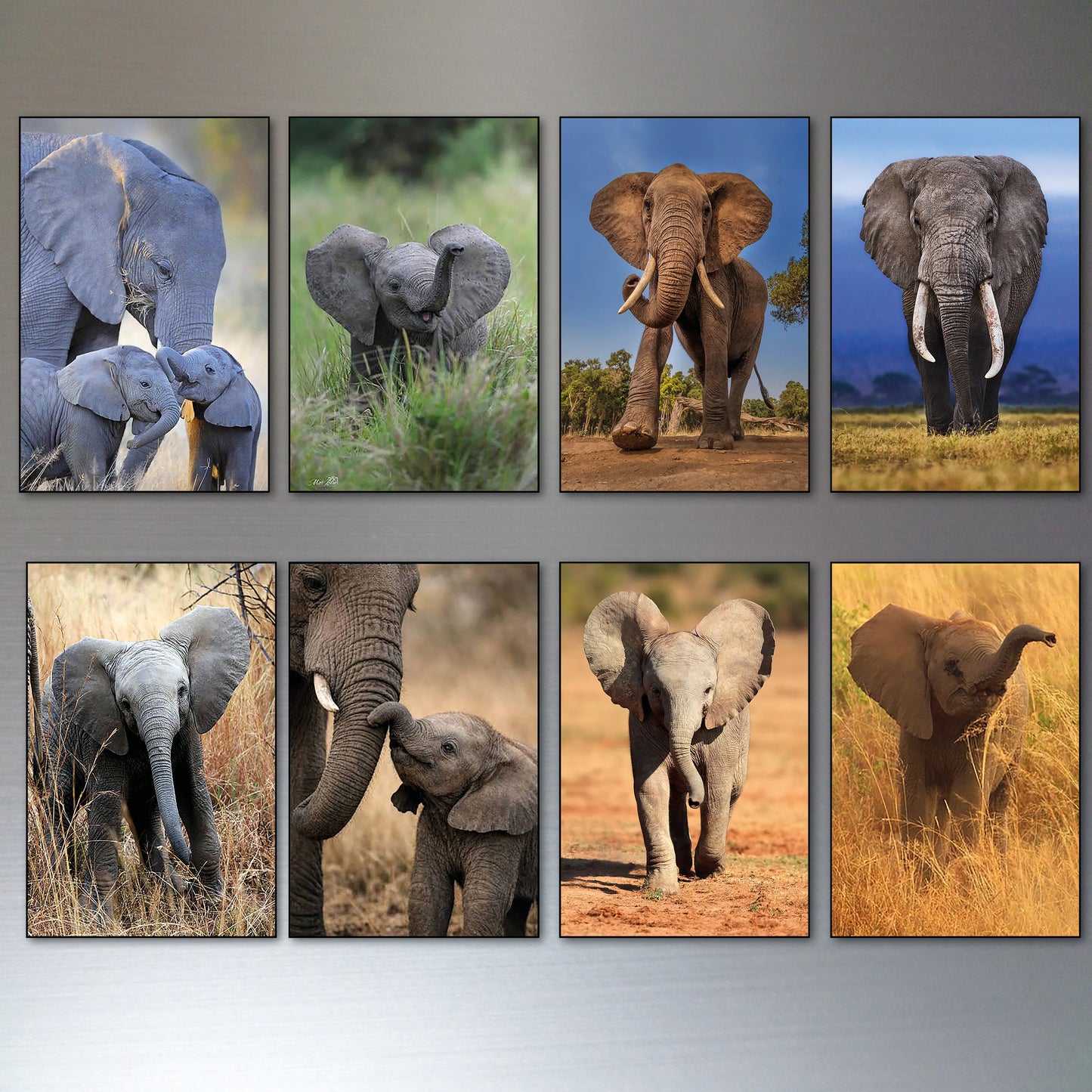 Set of eight framed vertical canvas prints depicting various scenes of African elephants, including adults, babies, and wildlife portraits, arranged in a 2x4 grid on a gray wall.