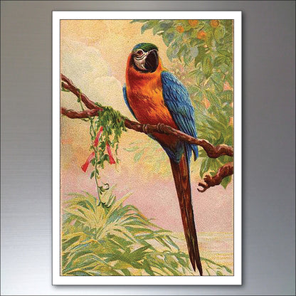 Parrot & Macaw Victorian Painted Fridge Magnets | Set of 8 | No.1