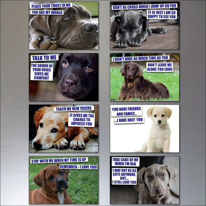 Dog & Human Bond Quotes | Fridge Magnets | Set of 8