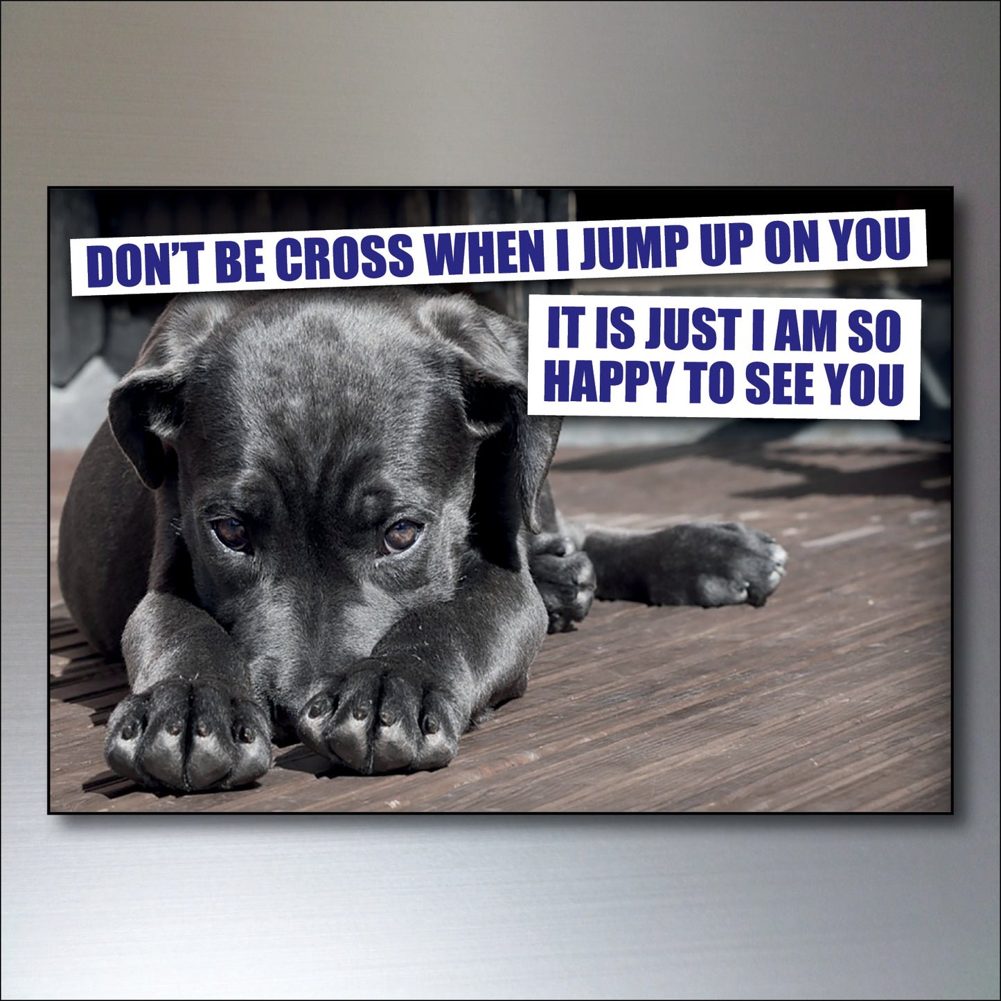 Dog & Human Bond Quotes | Fridge Magnets | Set of 8