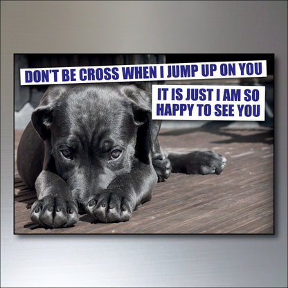 Dog & Human Bond Quotes | Fridge Magnets | Set of 8