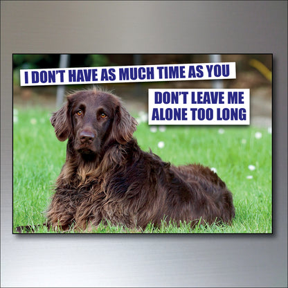 Dog & Human Bond Quotes | Fridge Magnets | Set of 8