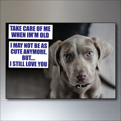 Dog & Human Bond Quotes | Fridge Magnets | Set of 8