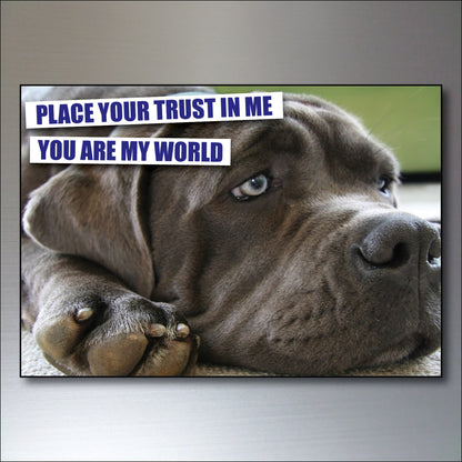 Dog & Human Bond Quotes | Fridge Magnets | Set of 8