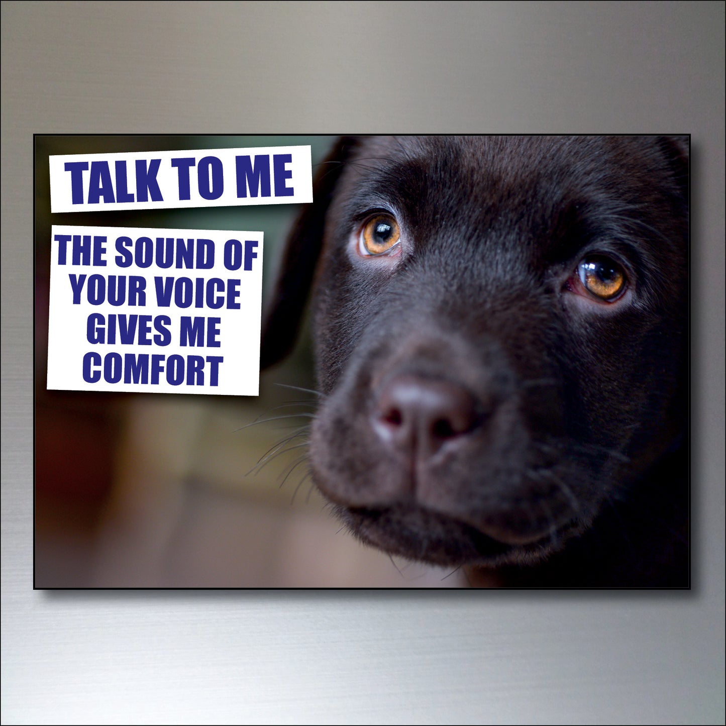 Dog & Human Bond Quotes | Fridge Magnets | Set of 8