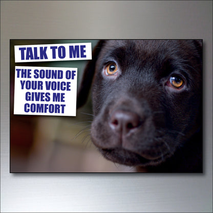 Dog & Human Bond Quotes | Fridge Magnets | Set of 8