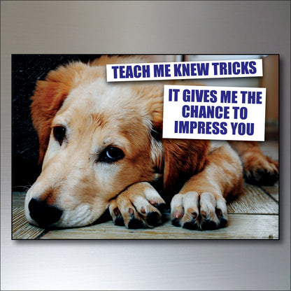 Dog & Human Bond Quotes | Fridge Magnets | Set of 8
