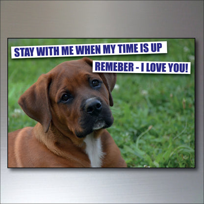 Dog & Human Bond Quotes | Fridge Magnets | Set of 8