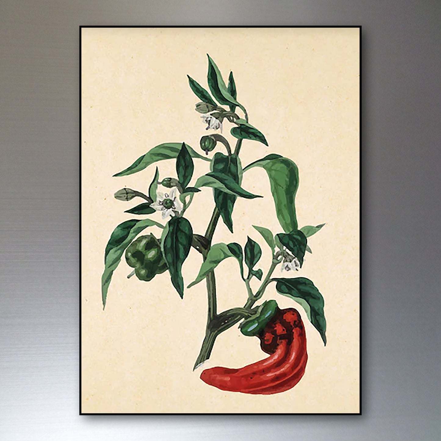 Victorian floral fridge magnets set by Bubbadoodoo featuring watercolor botanical designs on colorful magnet shapes.