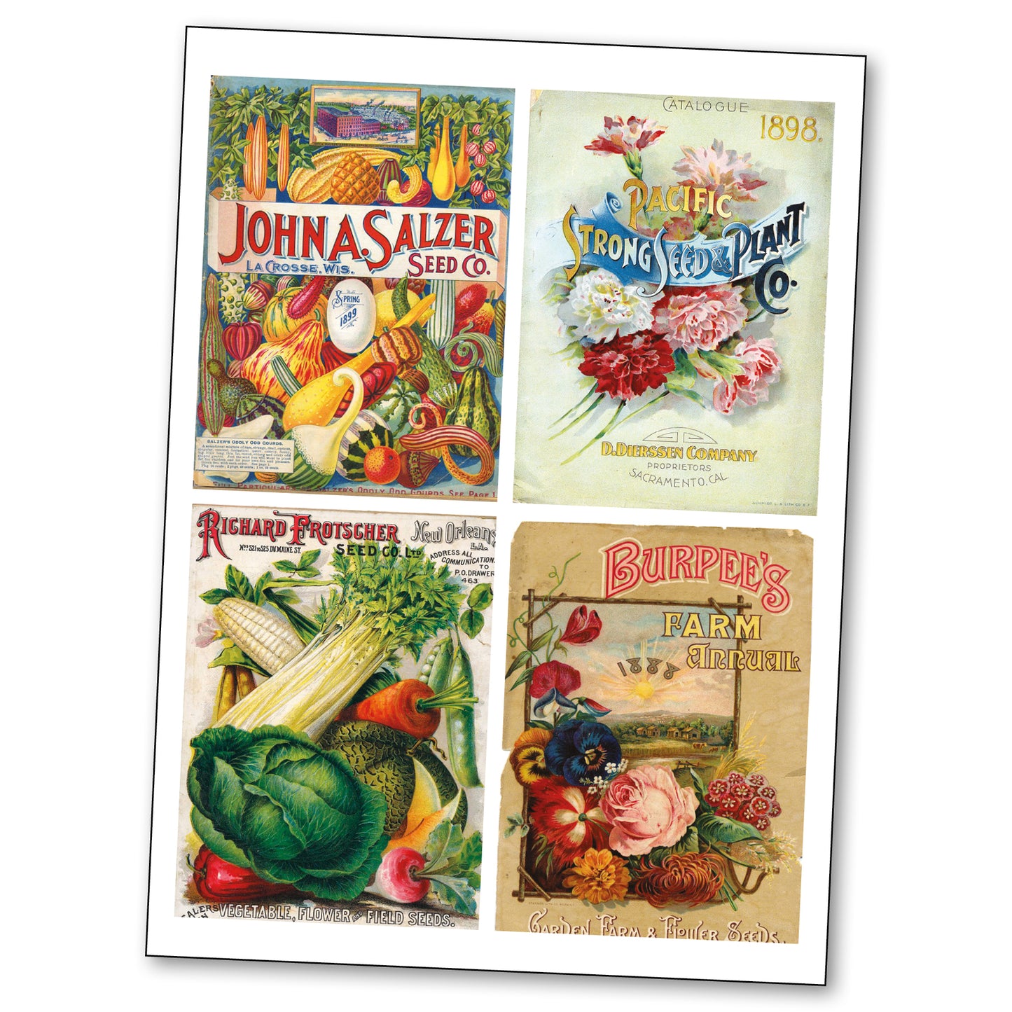 Victorian Seed Packet Art | Self-Adhesive A4 Craft Sheets | Set of 4