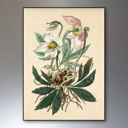 Victorian floral fridge magnets from Bubbadoodoo featuring watercolor botanical designs on a white background.