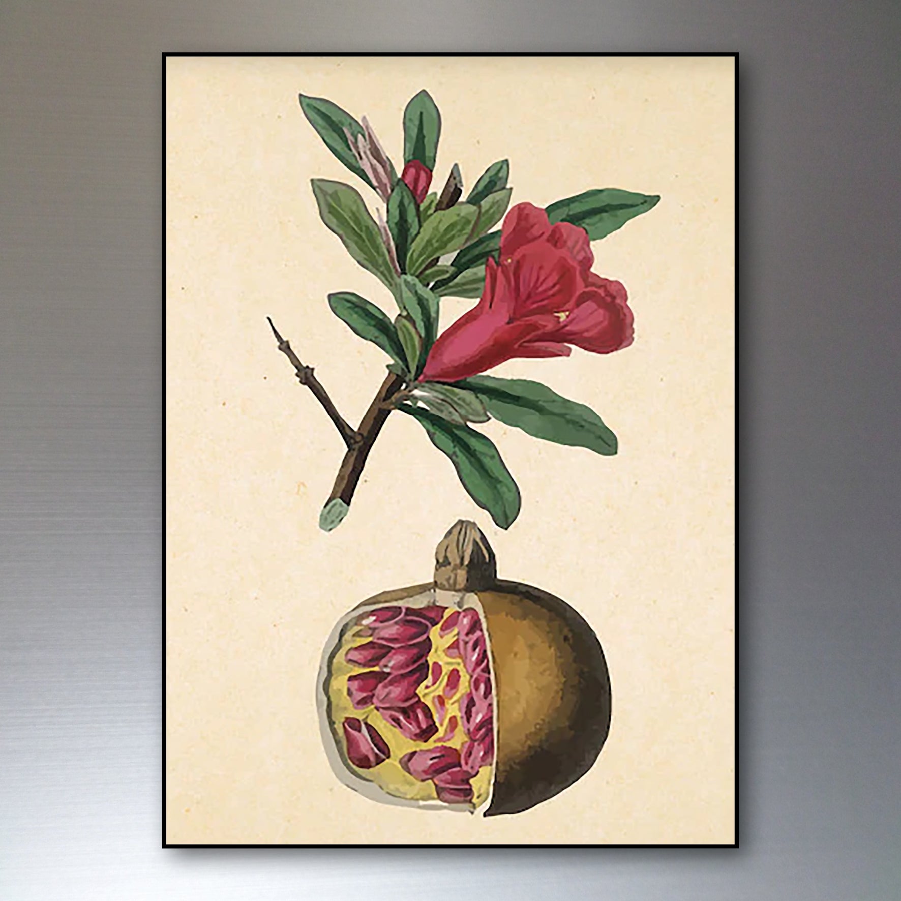 Watercolor Victorian floral fridge magnets set featuring botanical watercolor designs by Bubbadoodoo.