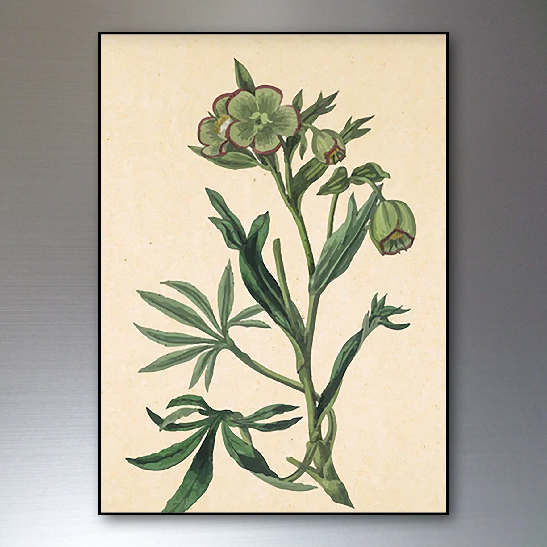 Victorian floral watercolor fridge magnets set by Bubbadoodoo featuring colorful botanical designs on a white background.