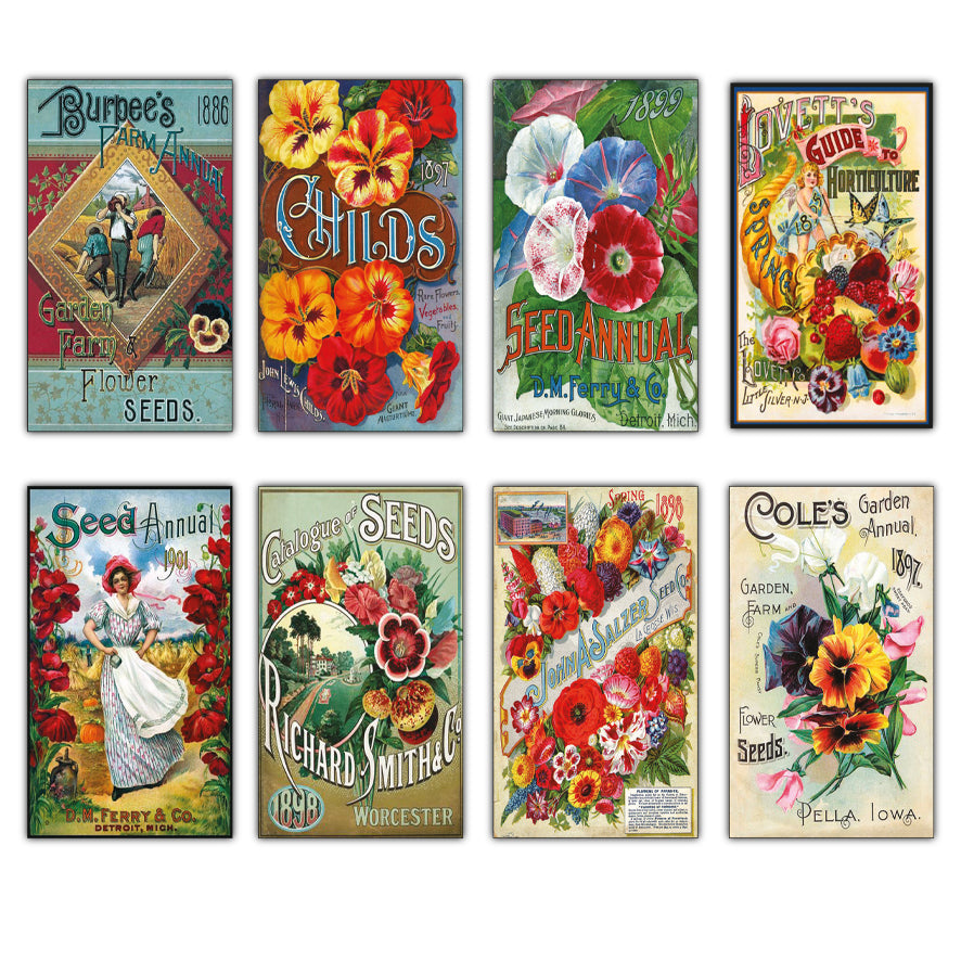 Vintage Botanical Seed Packet Fridge Magnets | Set of 8 | No.1