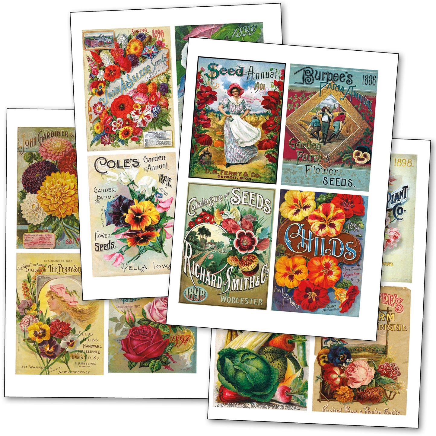 Victorian Seed Packet Art | Self-Adhesive A4 Craft Sheets | Set of 4