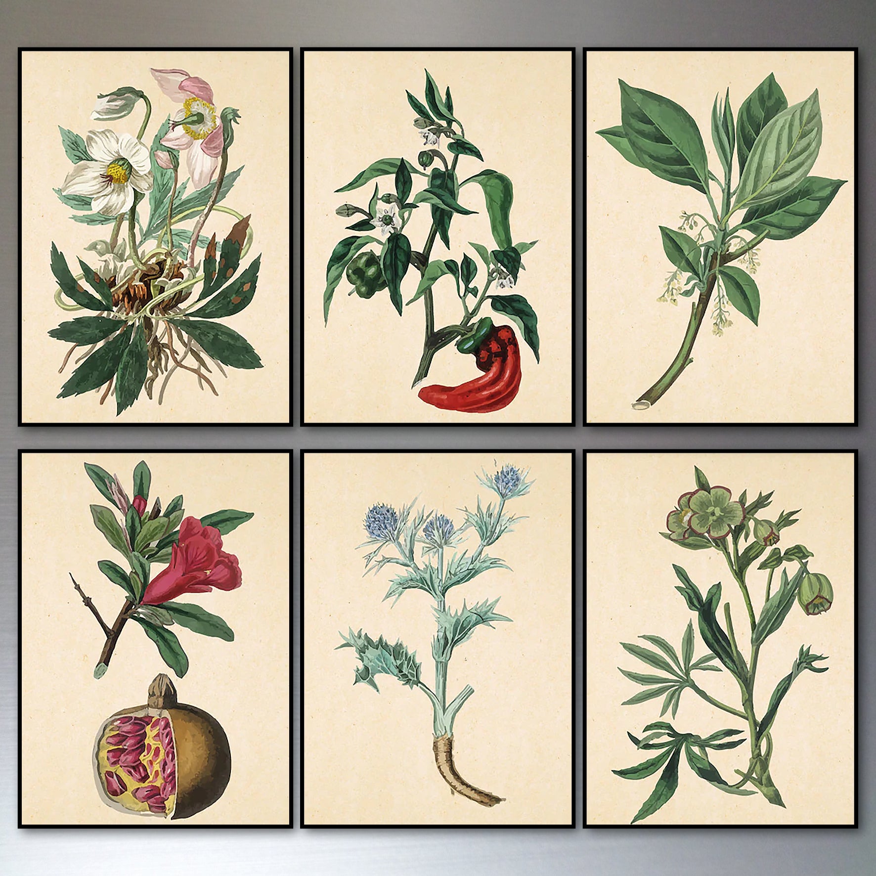 Victorian floral fridge magnets set by Bubbadoodoo featuring watercolor botanical designs on magnetic backing.