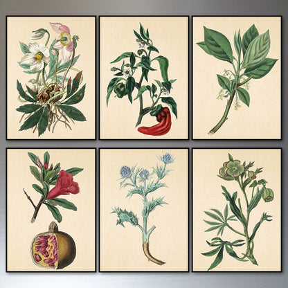 Victorian floral fridge magnets set by Bubbadoodoo featuring watercolor botanical designs on magnetic backing.