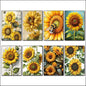 Vintage Sunflower Painting Fridge Magnets | Set of 8 | Floral Botanical Gift