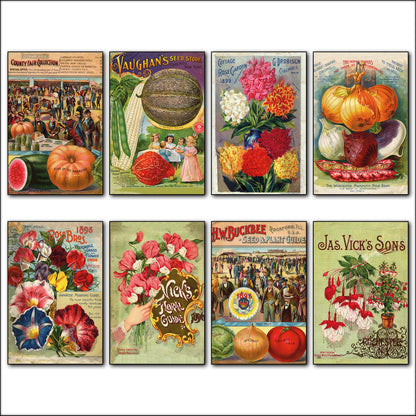 Vintage Botanical Seed Packet Fridge Magnets Set of 8 | Horticultural Art | No.3