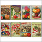 Vintage Botanical Seed Packet Fridge Magnets Set of 8 | Horticultural Art | No.3