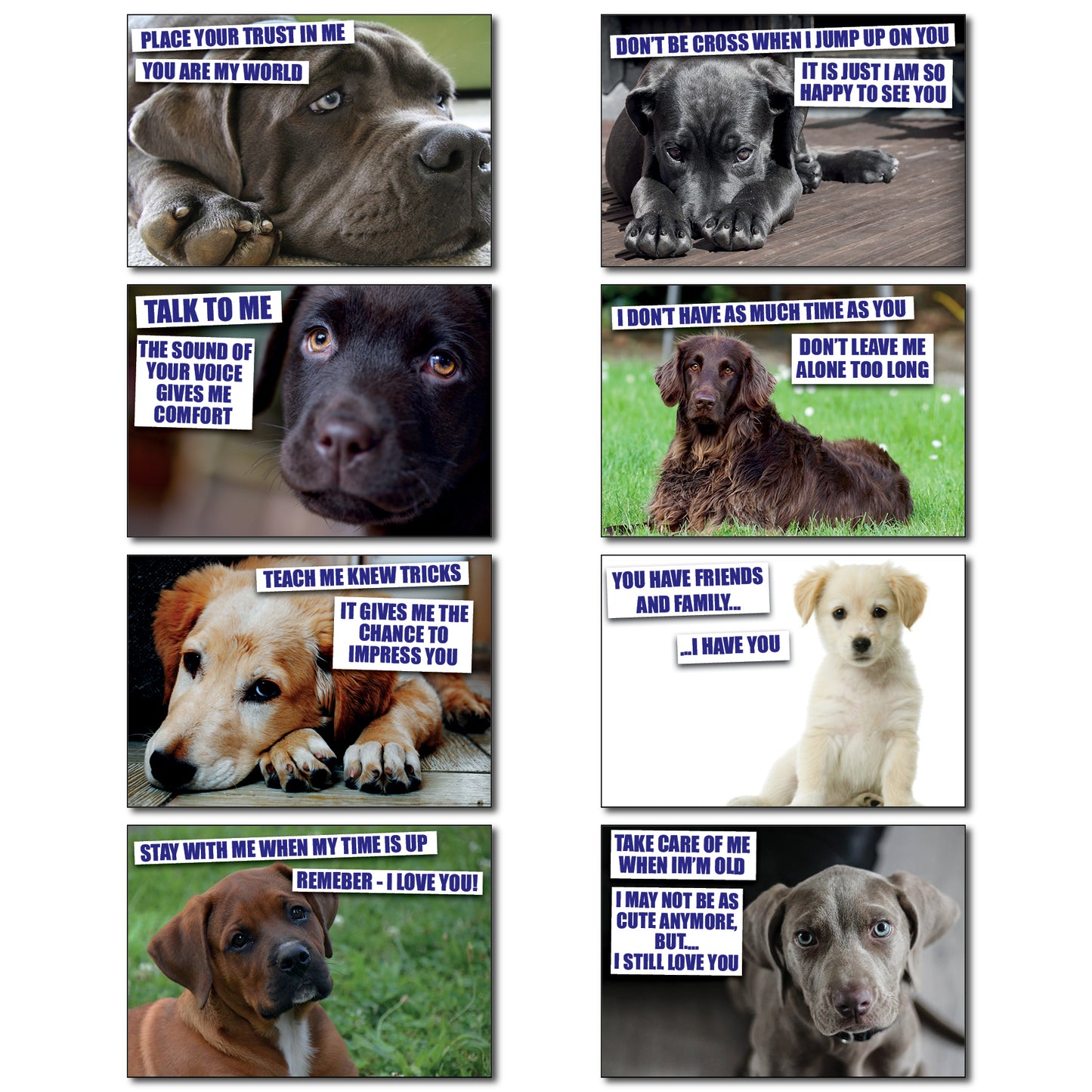Dog & Human Bond Quotes | Fridge Magnets | Set of 8