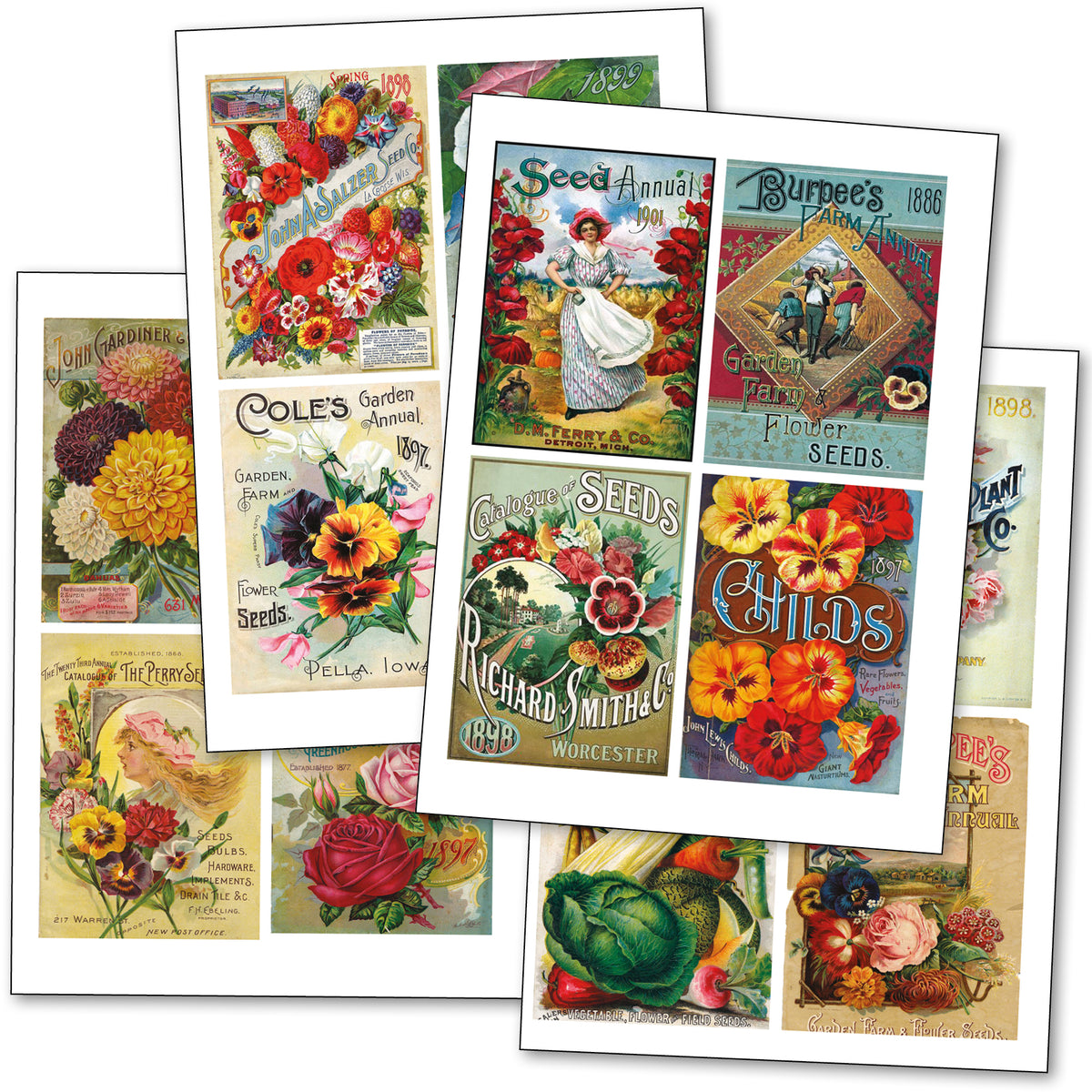 Victorian Seed Packet Art | Self-Adhesive A4 Craft Sheets | Set of 4