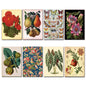 Victorian Botanical floral plant illustration fridge magnet by Bubbadoodoo, featuring detailed floral design on a white background.