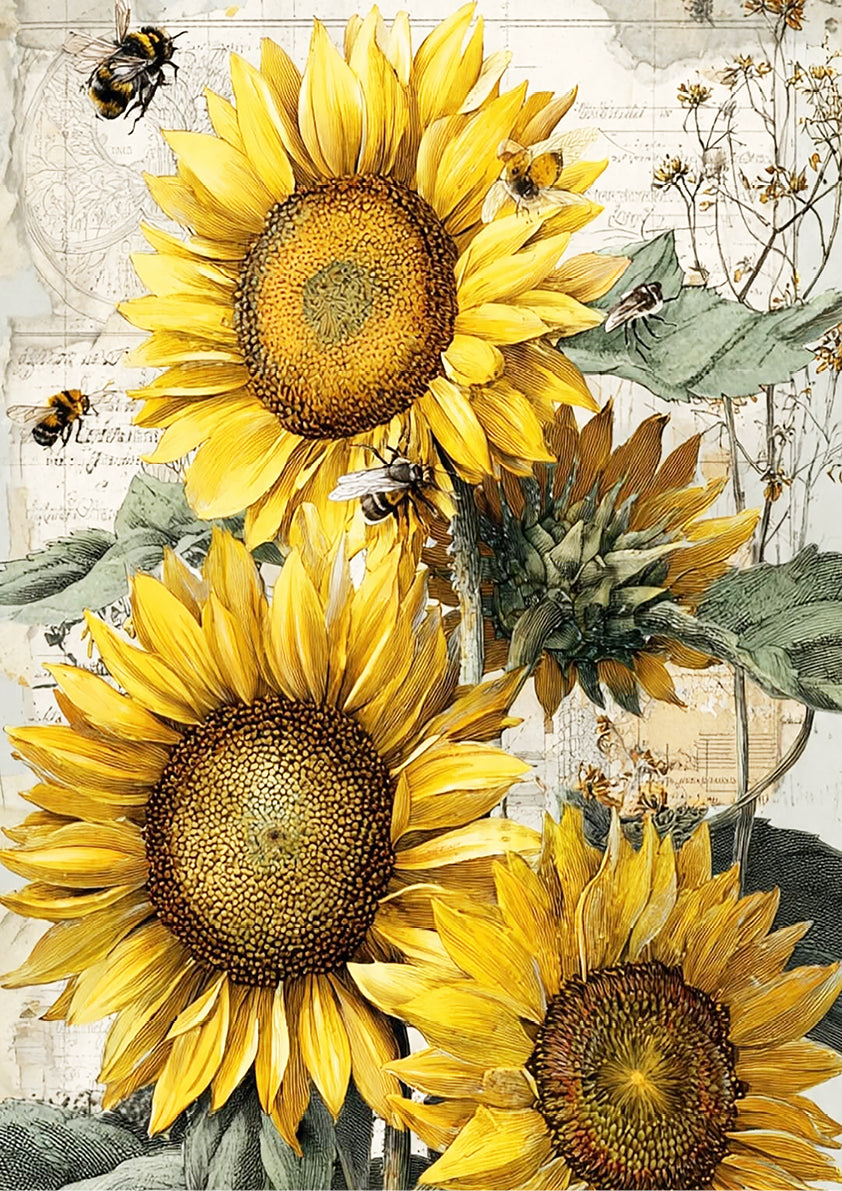 Vintage Sunflower Painting | A3 Satin Print | No.1